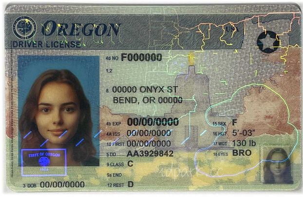 Buy Oregon Driver License And ID Card 2025