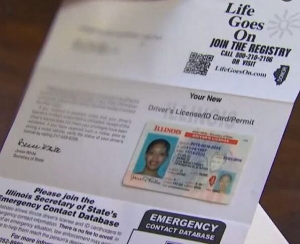 Buy Illinois Driver's License and ID Card - Image 6