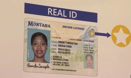 Buy Montana Driver's License and ID Card