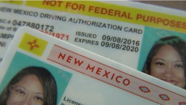 Buy New Mexico Driver's License and ID Card - Image 3