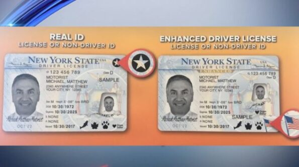 Buy New York Driver's License and ID Card - Image 4