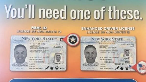 Buy New York Driver's License and ID Card - Image 3