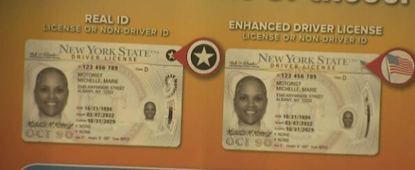 Buy New York Driver's License and ID Card - Image 2