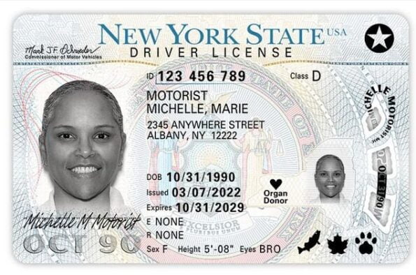 Buy New York Driver's License and ID Card - Image 5