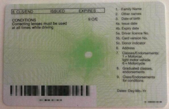 New Zealand Driving Licence - Image 2