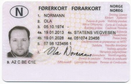 Buy Norway Driving Licence online