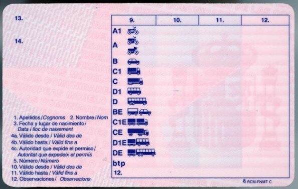 Spain Driver's License - Image 3