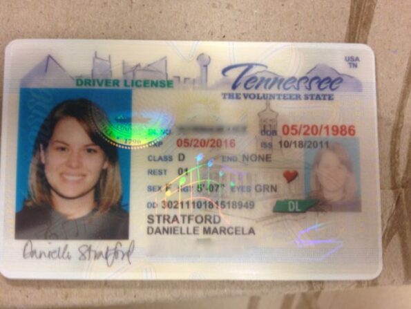 Buy Tennessee Driver's License and ID Card - Image 3