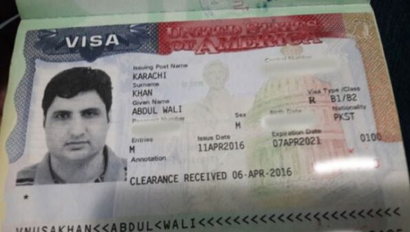 U.S visa online