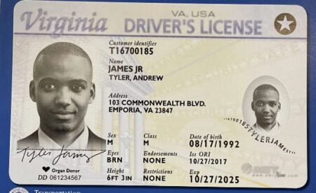 Buy Virginia Driver's License and ID Card